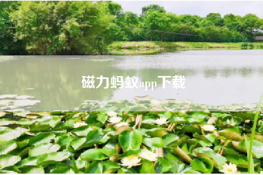 磁力蚂蚁app下载