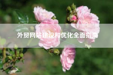 外贸网站建设和优化全面指南 外贸网站建设和优化全面指南