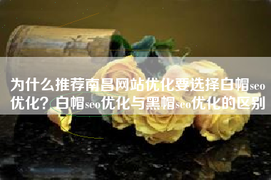 为什么推荐南昌网站优化要选择白帽seo优化？白帽seo优化与黑帽seo优化的区别