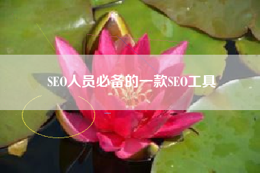 SEO人员必备的一款SEO工具