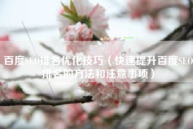 百度SEO排名优化技巧（快速提升百度SEO排名的方法和注意事项）