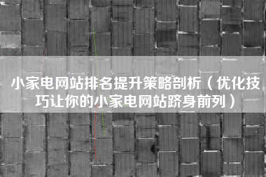 小家电网站排名提升策略剖析（优化技巧让你的小家电网站跻身前列）