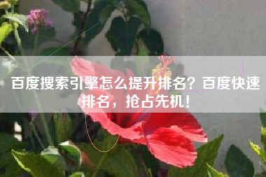 百度搜索引擎怎么提升排名？百度快速排名，抢占先机！