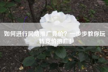 如何进行网络推广竞价？一步步教你玩转竞价推广！