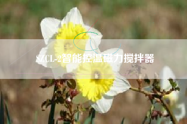 SZCL-2智能控温磁力搅拌器 SZCL-2智能控温磁力搅拌器