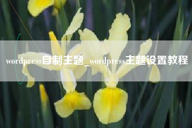 wordpress自制主题_wordpress主题设置教程