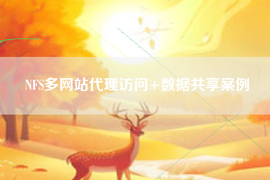 NFS多网站代理访问+数据共享案例