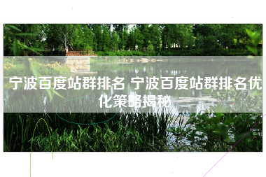 宁波百度站群排名 宁波百度站群排名优化策略揭秘