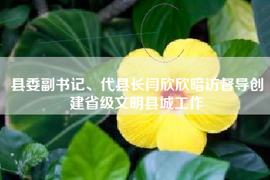 县委副书记、代县长闫欣欣暗访督导创建省级文明县城工作