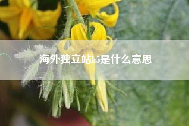 海外独立站h5是什么意思