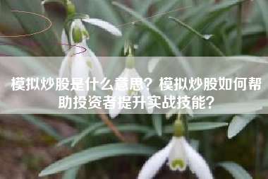 模拟炒股是什么意思？模拟炒股如何帮助投资者提升实战技能？
