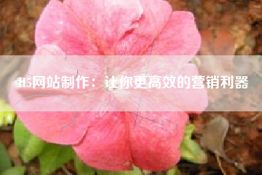 H5网站制作：让你更高效的营销利器