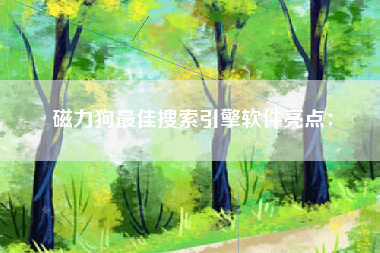 磁力狗最佳搜索引擎软件亮点：