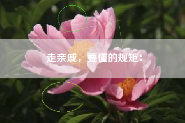 走亲戚,要懂的规矩: 走亲戚,要懂的规矩:
