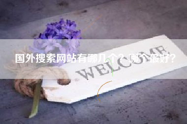 国外搜索网站有哪几个？哪个最好？
