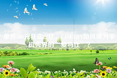 单价500元狂卖22亿，CASETiFY如何成为手机壳界的“爱马仕”？