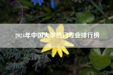 2024年中国大学热门专业排行榜