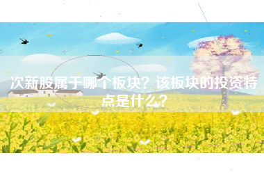次新股属于哪个板块？该板块的投资特点是什么？