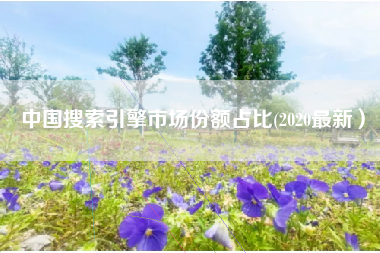 中国搜索引擎市场份额占比(2020最新）