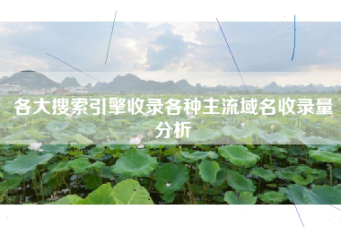 各大搜索引擎收录各种主流域名收录量分析