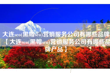 大连seo(黑帽seo)营销服务公司有哪些品牌【大连seo(黑帽seo)营销服务公司有哪些品牌产品】