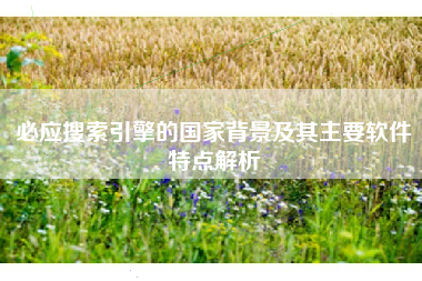 必应搜索引擎的国家背景及其主要软件特点解析