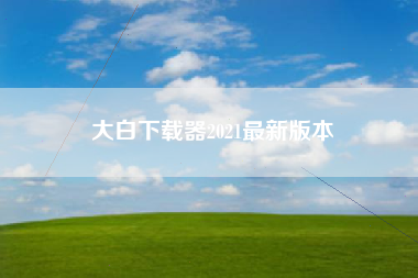 大白下载器2021最新版本
