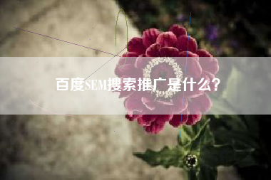 百度SEM搜索推广是什么？