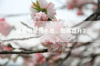 搜索引擎排名低，如何提升？