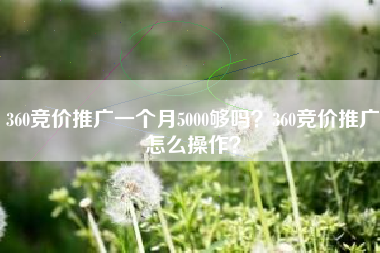 360竞价推广一个月5000够吗？360竞价推广怎么操作？