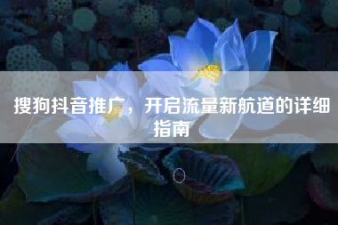 搜狗抖音推广，开启流量新航道的详细指南