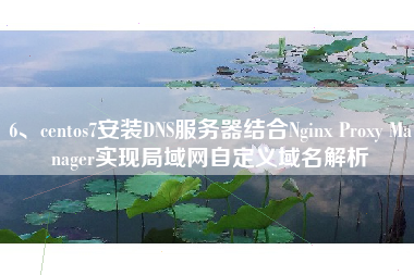 6、centos7安装DNS服务器结合Nginx Proxy Manager实现局域网自定义域名解析