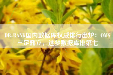 DB-RANK国内数据库权威排行出炉：OMS三足鼎立，达梦数据库排第七