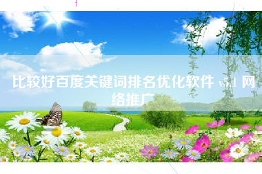 比较好百度关键词排名优化软件 v5.1 网络推广