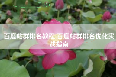 百度站群排名教程 百度站群排名优化实战指南