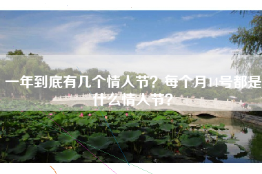 一年到底有几个情人节？每个月14号都是什么情人节？