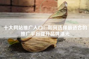 十大网站推广入口：如何选择最适合的推广平台提升品牌曝光