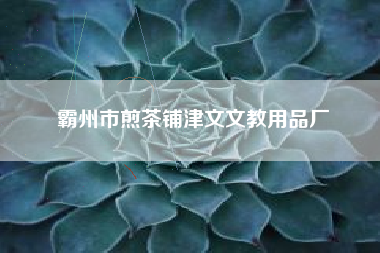 霸州市煎茶铺津文文教用品厂