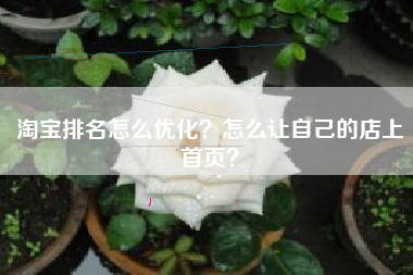 淘宝排名怎么优化？怎么让自己的店上首页？