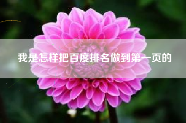 我是怎样把百度排名做到第一页的