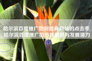 哈尔滨百度推广如何提高网站的点击率,哈尔滨百度推广的市场前景与发展潜力