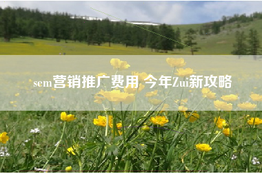 sem营销推广费用 今年Zui新攻略 sem营销推广费用 今年Zui新攻略
