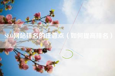 SEO网站排名的注意点（如何提高排名）
