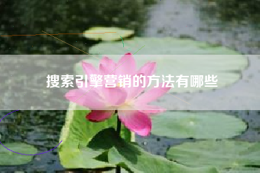 搜索引擎营销的方法有哪些