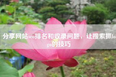 分享网站seo排名和收录问题，让搜索抓logo的技巧