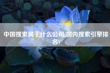 中国搜索属于什么公司(国内搜索引擎排名)
