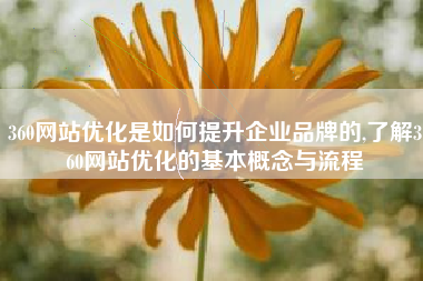 360网站优化是如何提升企业品牌的,了解360网站优化的基本概念与流程