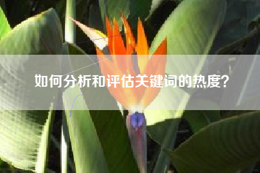 如何分析和评估关键词的热度？