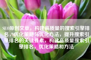 SEO原创文章，构建高质量的搜索引擎排名，优化策略与优化方法，提升搜索引擎排名的关键要素，构建高质量搜索引擎排名，优化策略和方法