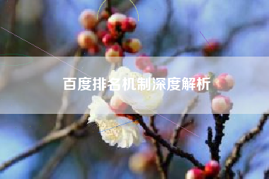 百度排名机制深度解析